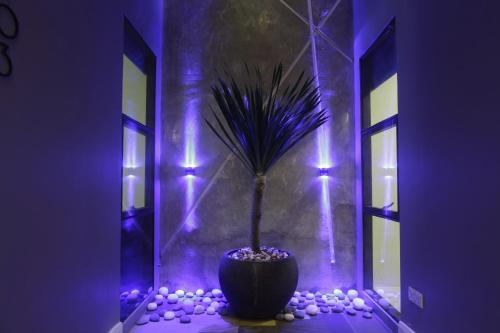 i am jazz boutique hotel