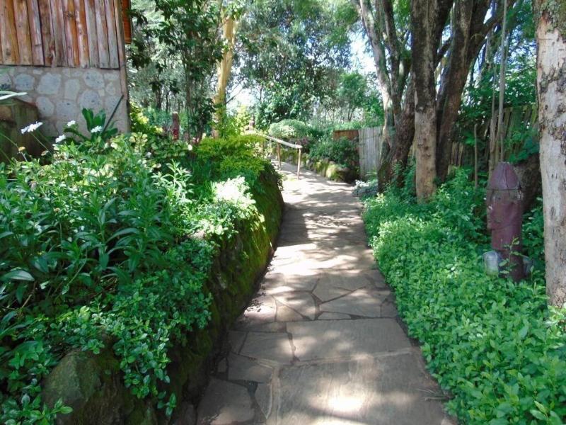 Naro Moru River Lodge,Mount Kenya>>Laikipia County,3.5 star
