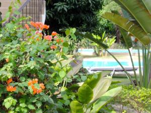 Mango Spa Country Club,Cha-Am>>Bo Fai,3 star