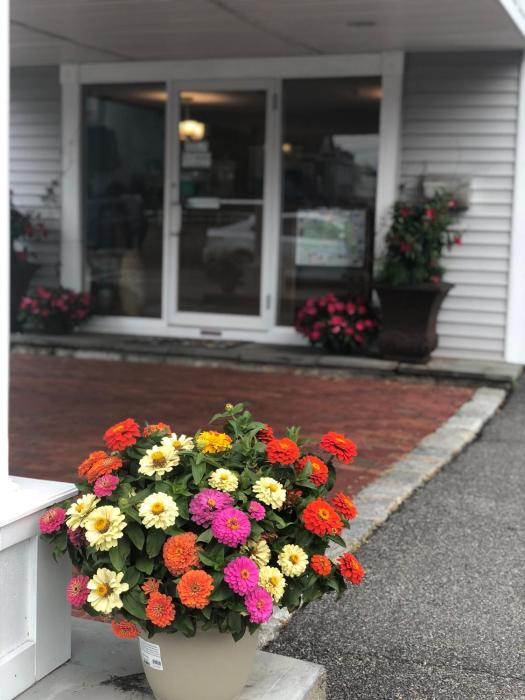 seacoast inn