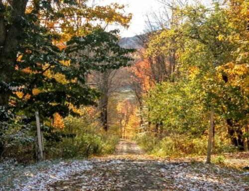 endless mountain resort