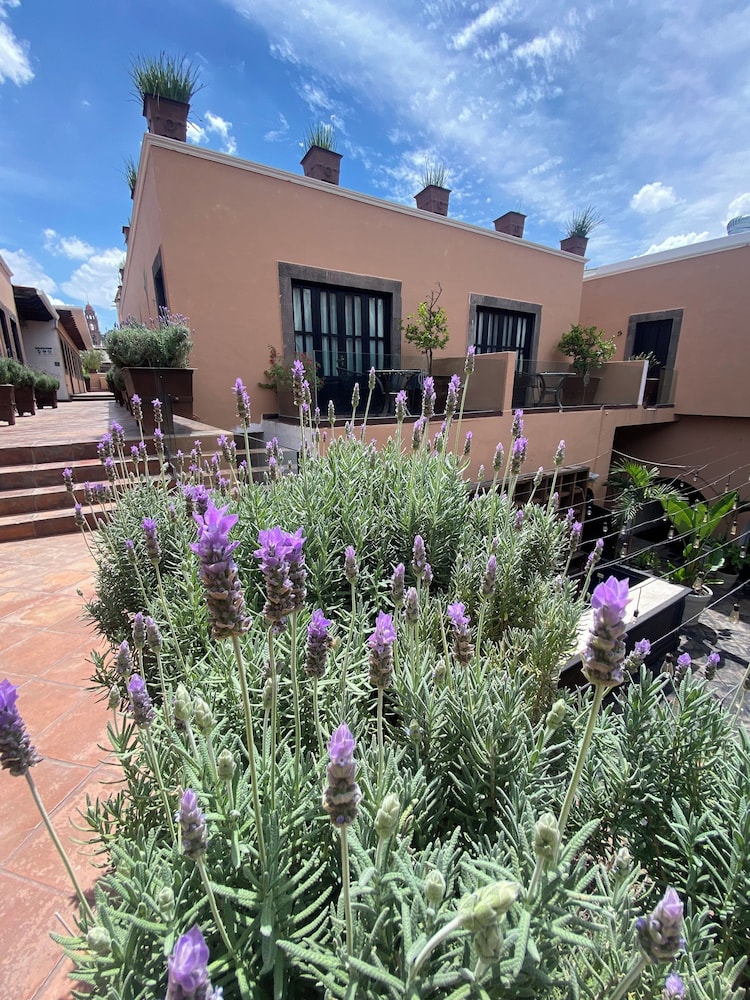 san miguel de allende