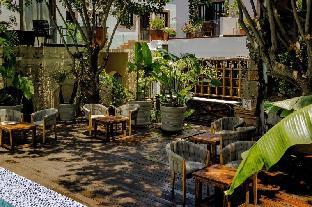 san miguel de allende