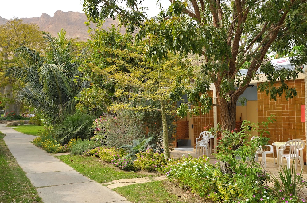 ein gedi kibbutz hotel