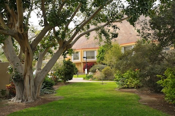 ein gedi kibbutz hotel