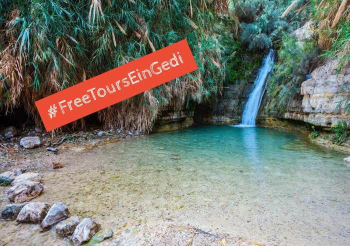 ein gedi kibbutz hotel