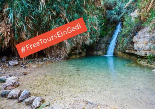 ein gedi kibbutz hotel