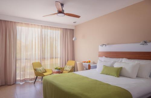 ein gedi kibbutz hotel