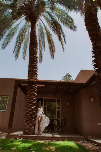 ein gedi kibbutz hotel