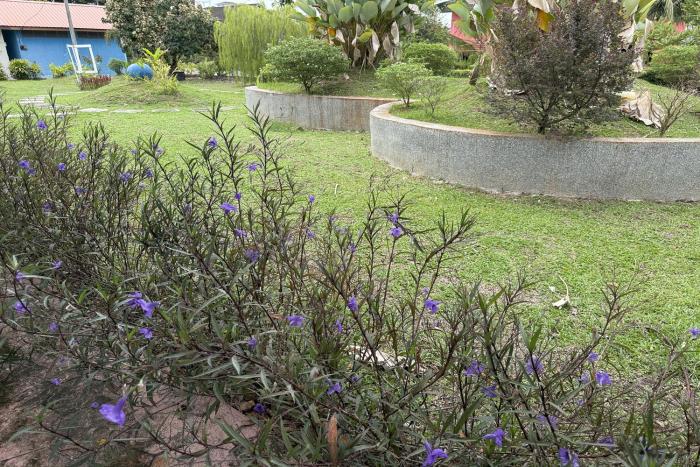 inapan taman herba