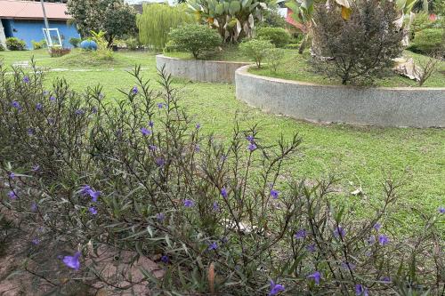 inapan taman herba