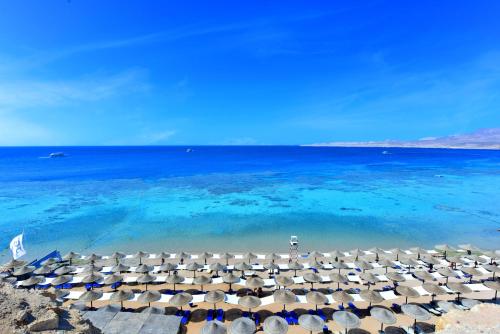 jaz fanara resort all inclusive