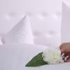 art hotel ingolstadt