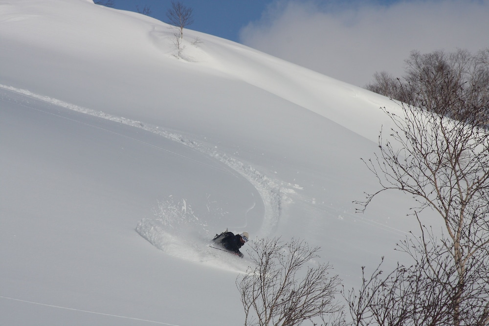 niseko
