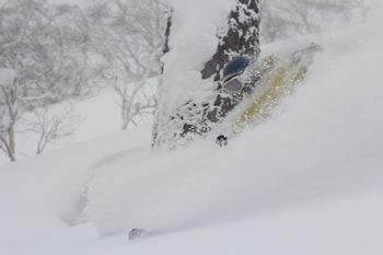 niseko