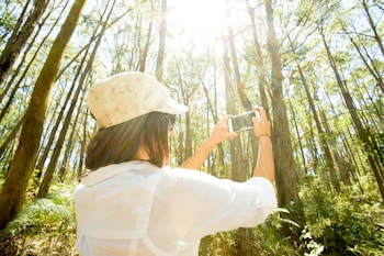 big4 yarra valley park lane holiday park