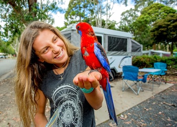big4 yarra valley park lane holiday park