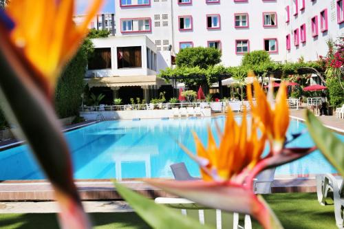 hotel mamora