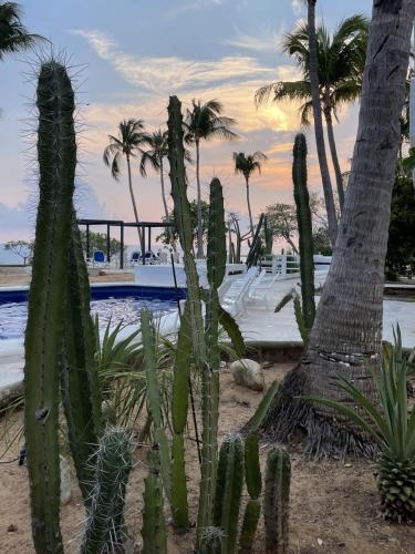hotel villa mexicana