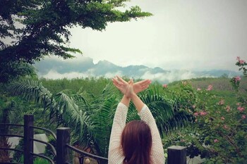 khaosok boutique camps