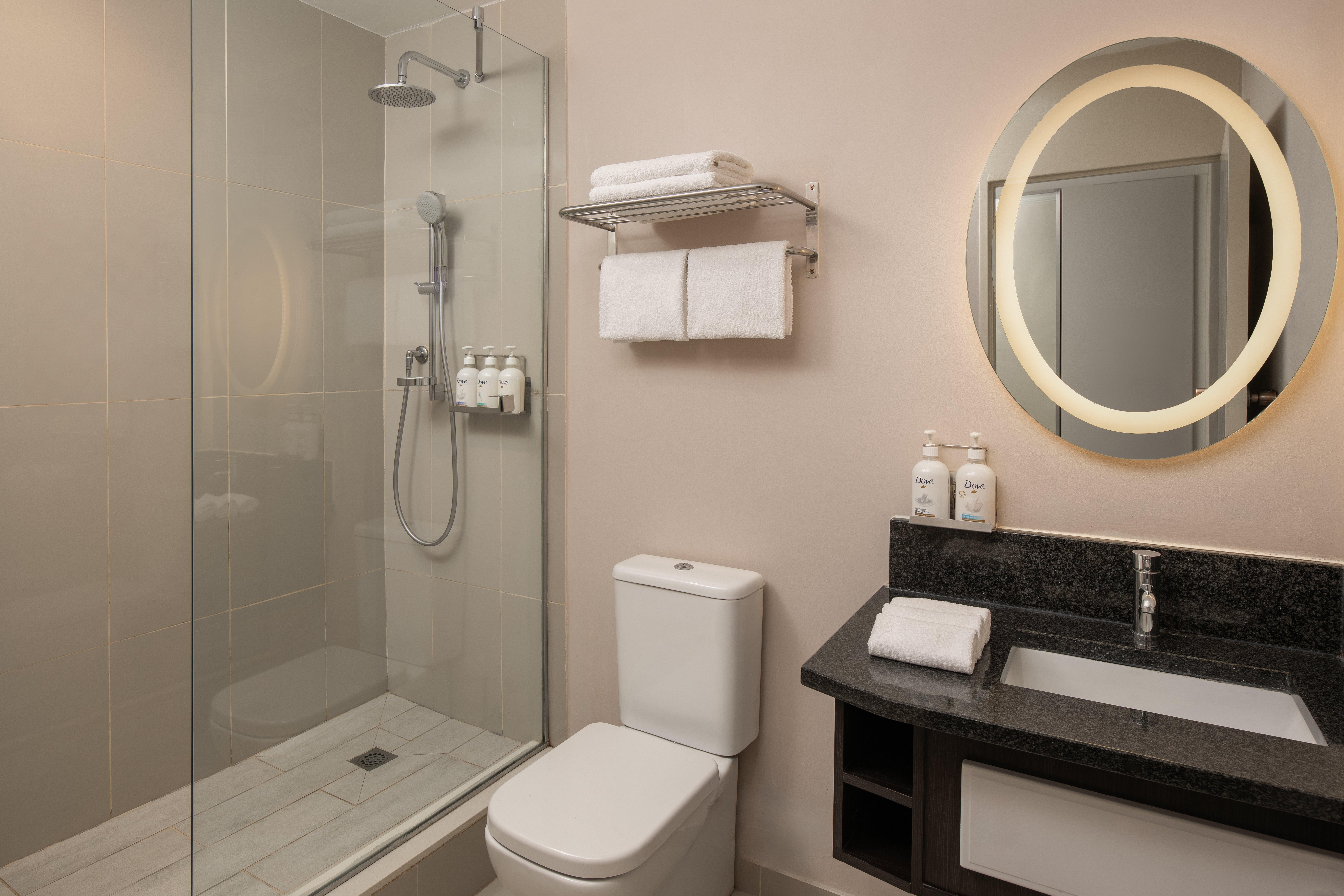 holiday inn johannesburg sunnyside park by ihg