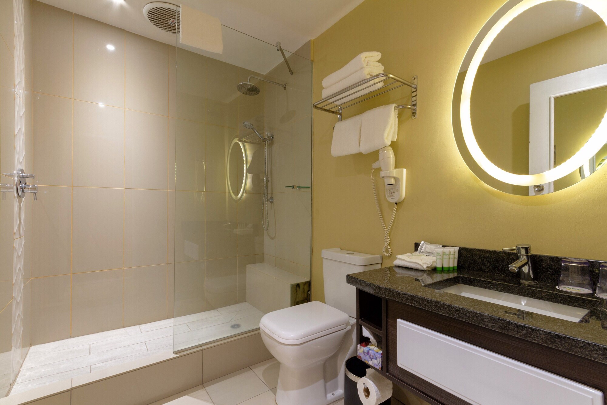 holiday inn johannesburg sunnyside park by ihg