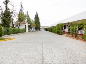 saltillo