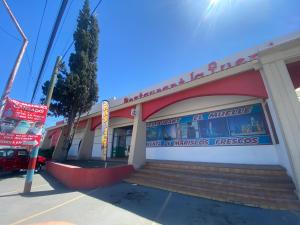 saltillo