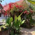 kalaw