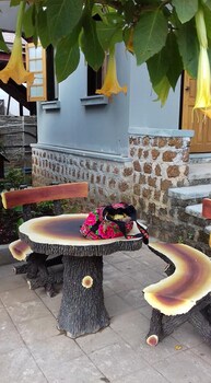 nature land hotel ii