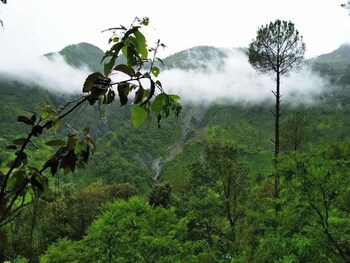 The Silent Valley,,2 star
