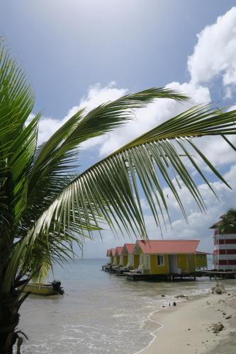 bocas del toro