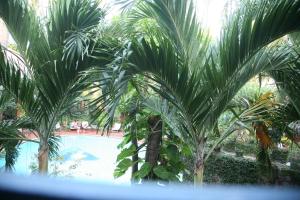 mui ne resort managed by the sinh tourist