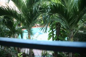 mui ne resort managed by the sinh tourist