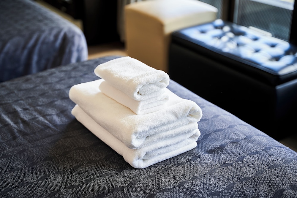 izutsu hotel kyoto kawaramachi sanjo