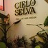 hotel cielo y selva san cristobal de las casas