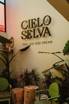 hotel cielo y selva san cristobal de las casas