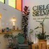 hotel cielo y selva san cristobal de las casas