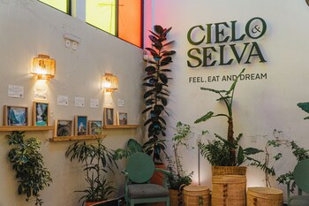 hotel cielo y selva san cristobal de las casas