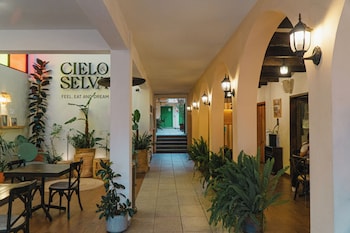 hotel cielo y selva san cristobal de las casas