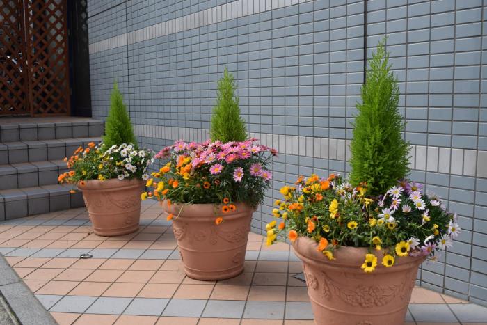 asakusa central hotel