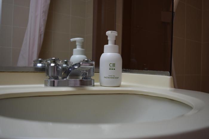 asakusa central hotel