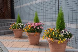 asakusa central hotel