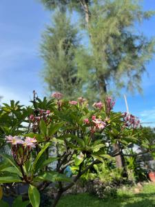 the moon kampot boutique