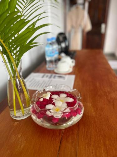 the moon kampot boutique