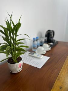 the moon kampot boutique