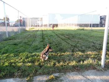 rodeway inn hermiston umatilla