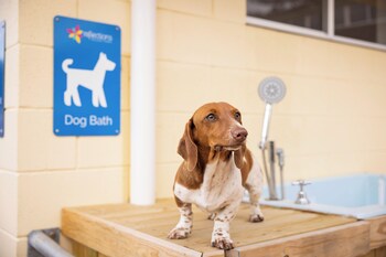 reflections tuncurry holiday park