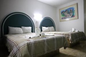 hotel hc internacional