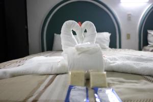 hotel hc internacional